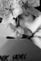 © Janet Gatihi